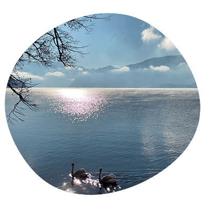 Kontakt Psychotherapie Gmunden